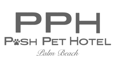 Pet posh on sale
